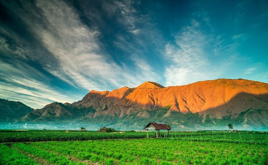 Coolcation Jadi Tren Wisata 2026, Ini 5 Destinasi Terbaik Indonesia